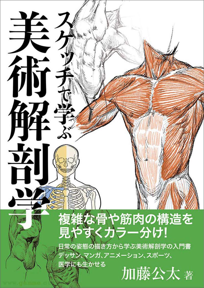 《大雄３３眼的秘密》美术解剖学教授提出专业见解 其实这种描写非常符合人体特征插图6